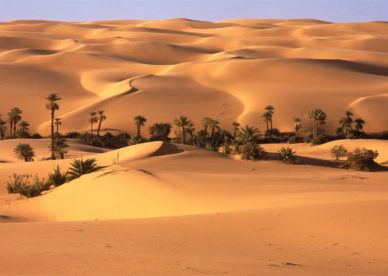 صور الصحراء مع جمال واحة النخيل Oasis And Desert Pictures- عالم الصور